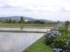 Jpg_2